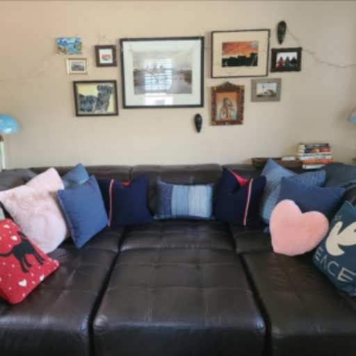 image of the couch that inspired the swamlows