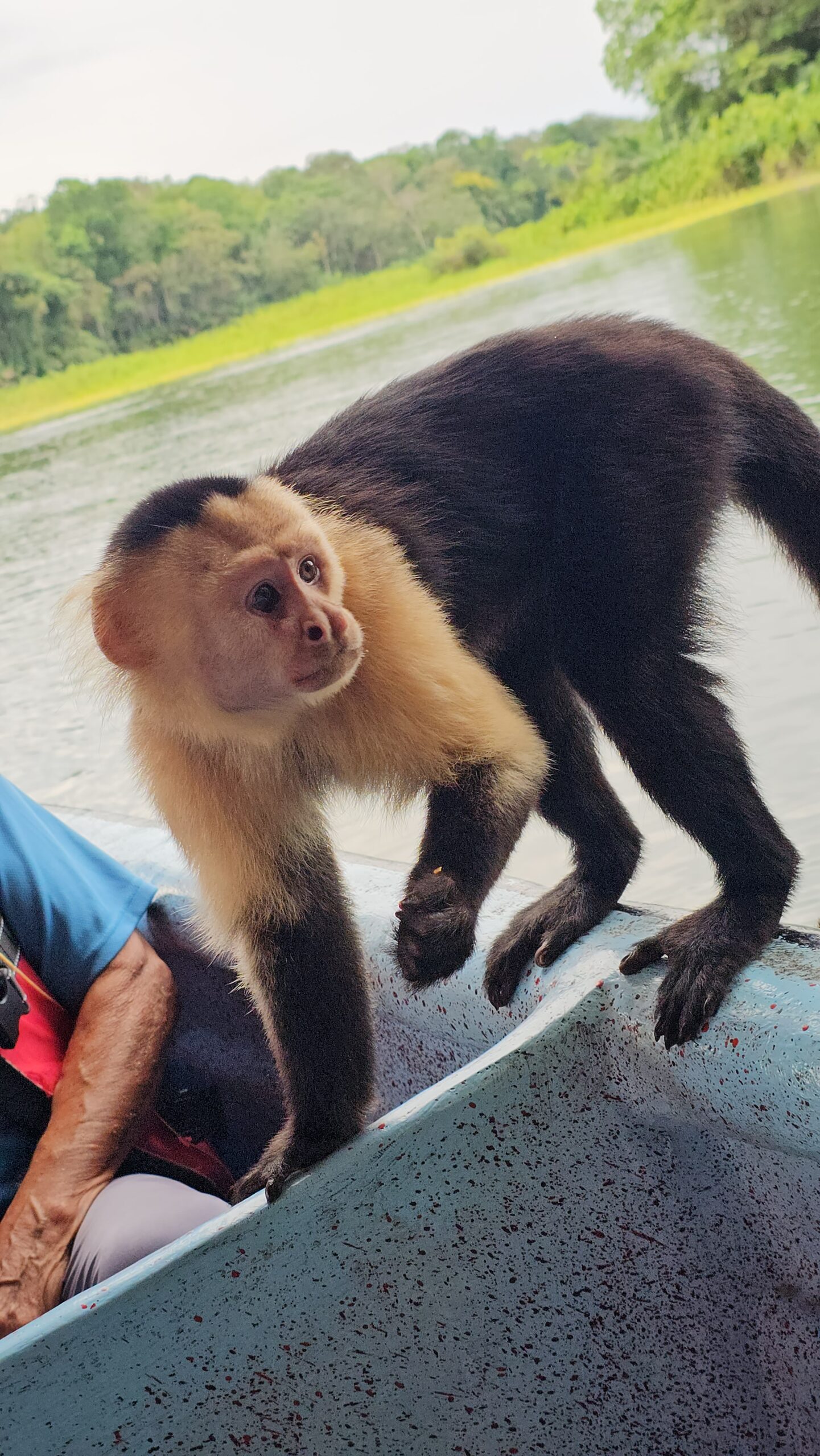 Chapter 48: Panama in Pictures