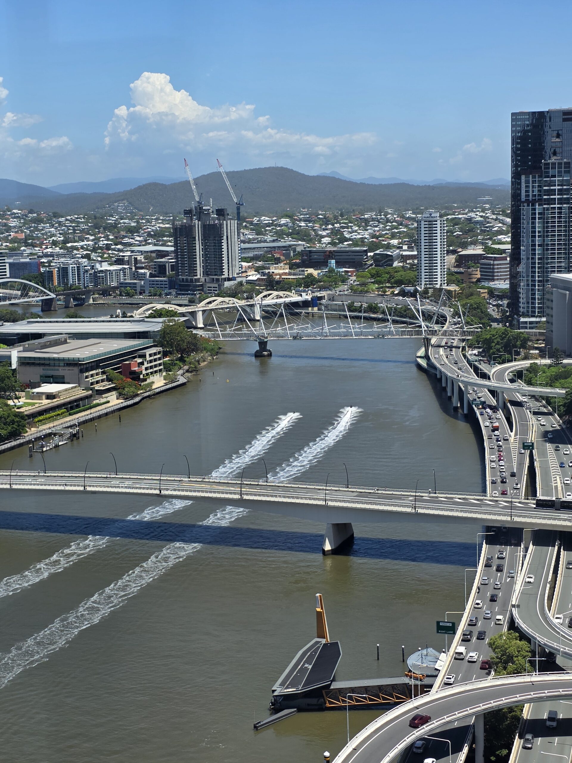 Chapter 57: Back to Being Birders in Brisbane