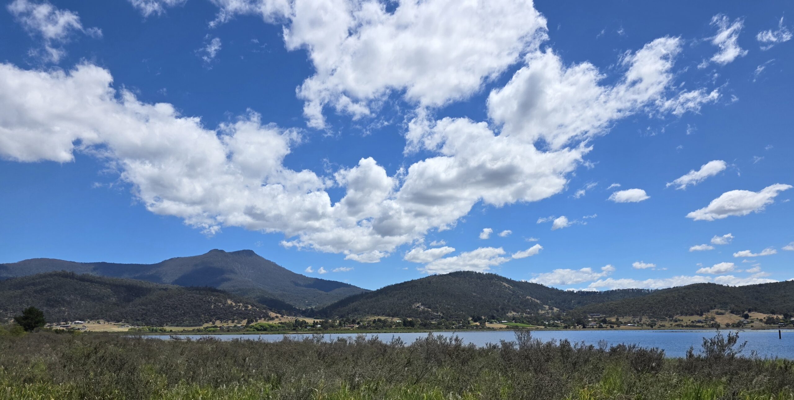 Chapter 61: A Tribute to Tassie